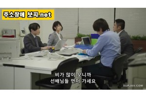 자체자막 모자이크 파괴 아내 집에 홀로 두고 폭우때문에 여선배집에서 하룻밤을 세타 이치카